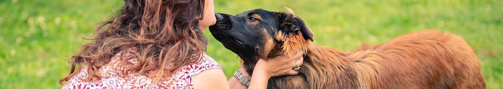 A7R07834_WEBSITE_1680X300 (1)-min (1) (1) (1).jpg